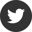 twiiter icon